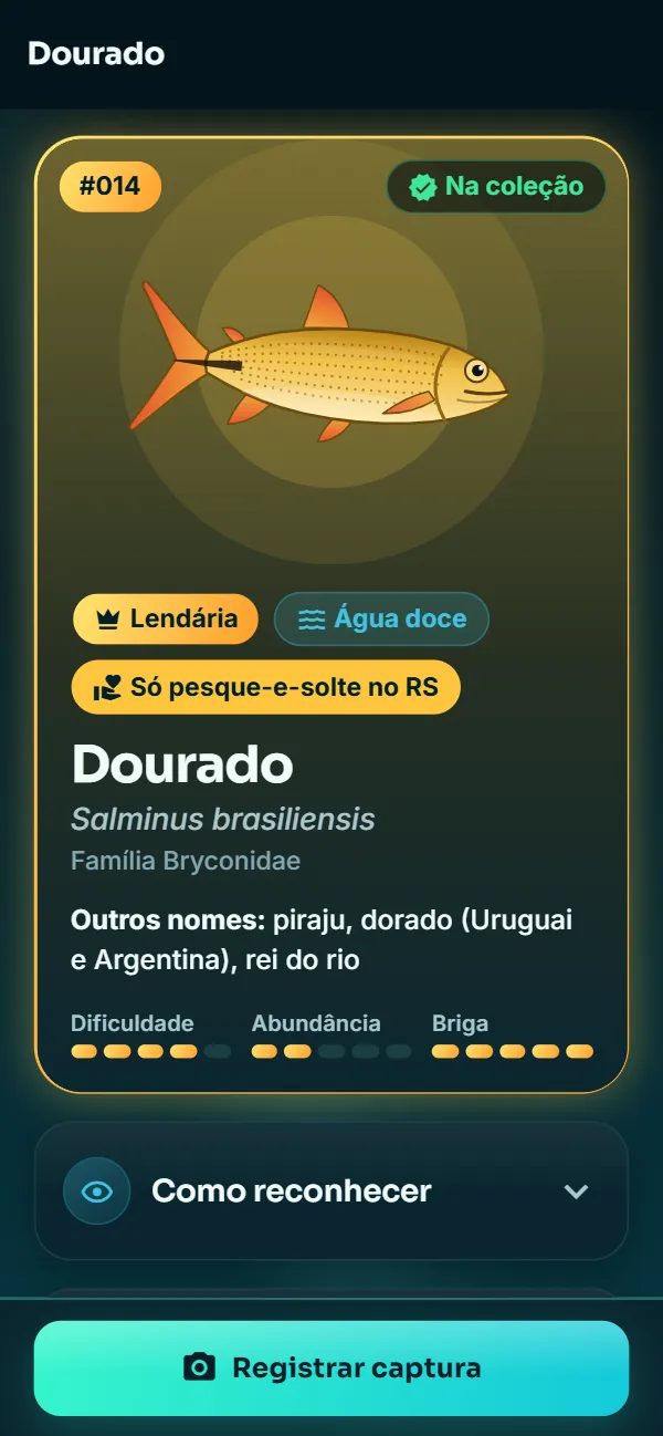 Ficha do dourado no app: espécie lendária, só pesque-e-solte no Rio Grande do Sul