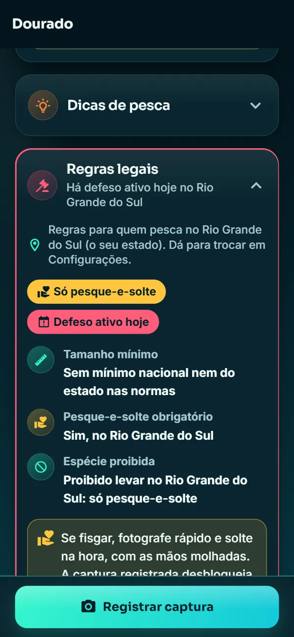 Regras legais do dourado no app: defeso ativo hoje e só pesque-e-solte no Rio Grande do Sul